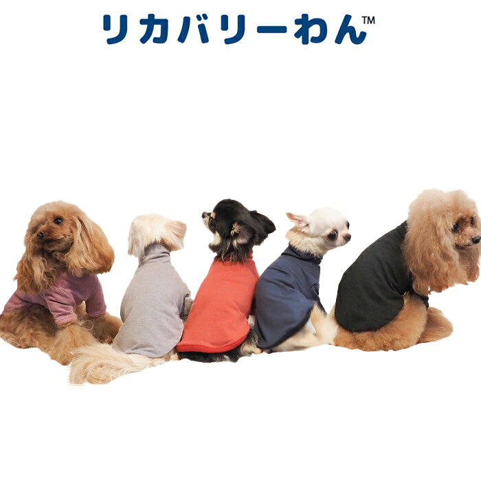 《9月1日迄ポイント5倍》リカバリーわん(テラヘルツワン)ハイネックTシャツ (5色)ペット介護 犬用 ペットウェア 胴長タイプ シニア犬 ドッグウェア 犬服 テラヘルツワン 日本製 クークチュール リカバリーウェア 2メ-3運 50051 【T】【送料無料】 ranfan-10033410 肌着屋ランファン サンプル画像3