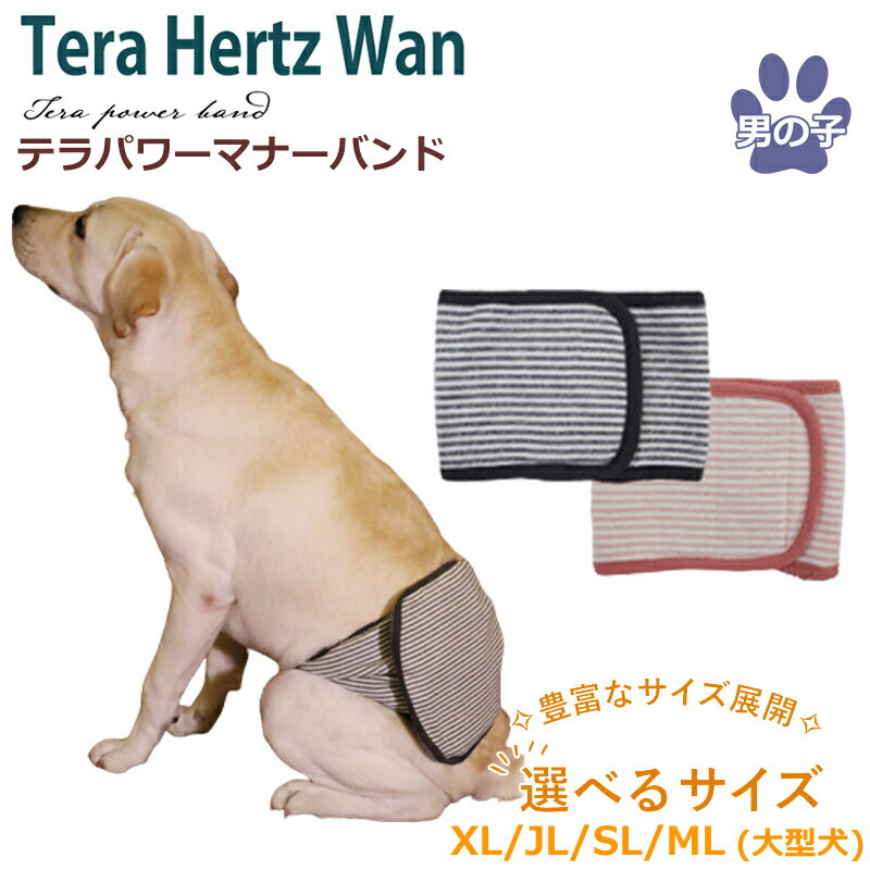 テラパワーマナーバンド ペット介護用品 犬用 サイズ豊富 ウェア ワンコ ペットウェア 大型犬 シニア犬 大ヒット商品!!ドッグウェア 犬服 テラヘルツワン 日本製 クークチュール 2メ-3運 7070 【T】【送料無料】