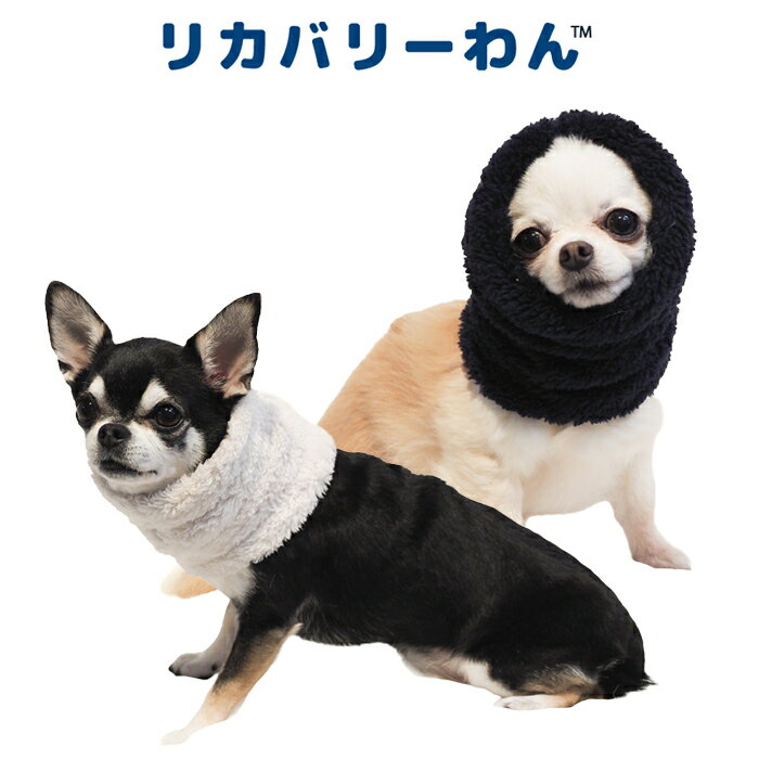 �Խ�Ź22��ǯ��ǰ���ʥݥ����3�ܡեꥫ�Х꡼���ʥƥ�إ�ĥ��˥ܥ��ͥå��������ޡ� ���ͥå��������ޡ� ���� ����� ������ ������ ���˥��� �ɥå������� ���� �ƥ�إ�ĥ�� ������ ���������塼�� �ꥫ�Х꡼������ 2��-3�� 7201 ��T�ۡ�����̵����