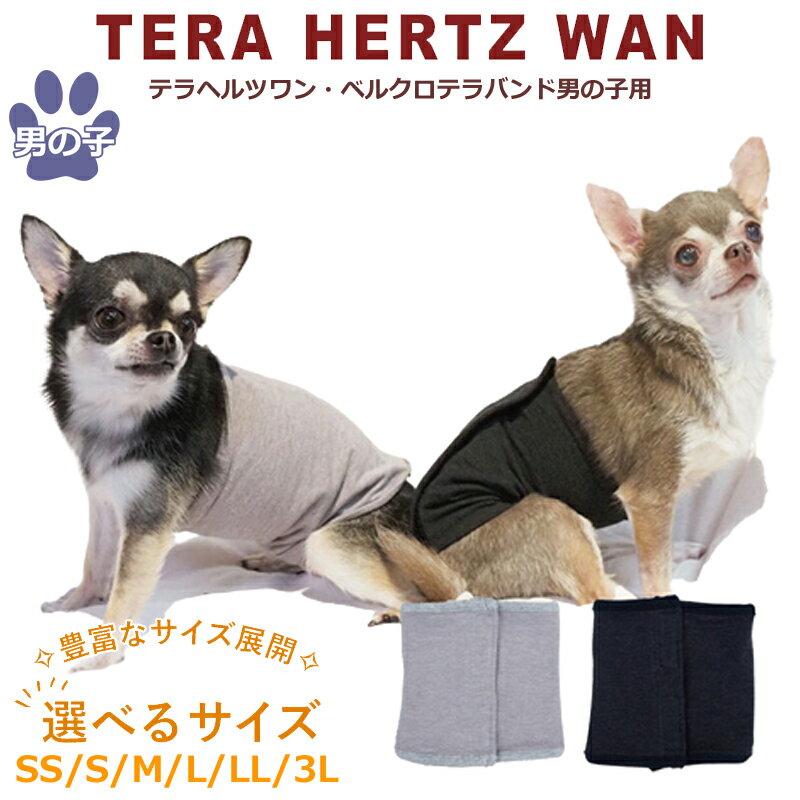 テラヘルツワン・ベルクロテラバンド男の子用 ペット介護用品 犬用 腹巻 ウェア ワンコ ペットウェア 小型犬 シニア犬 ドッグウェア 犬服 テラヘルツワン 日本製 クークチュール 2メ-3運 7220 【T】【送料無料】