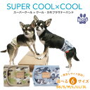 スーパークール×クール・カモフラマナーバンド[7283]犬マナーバンド 犬用 マナーベルト 男の子 ワンコ ペットウェア 夏用 小型犬 シニア犬 高齢犬 パピー テラヘルツワン 日本製 クークチュール ◆2メ-3運◆ 《送料無料》【T】