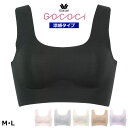 ワコール ゴコチ 涼感ワコール Wacoal GOCOCi ゴコチ (Mサイズ・Lサイズ)ごこち ハーフトップ 涼しい 2メ-3運 CGG571 【P】【送料無...