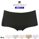 ワコール ゴコチ 涼感ワコール Wacoal GOCOCi ゴコチ (Mサイズ・Lサイズ) ごこち スタンダードショーツ 涼感 涼しい 夏用 メール便3点まで PGG271 【EV】【P】