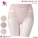 ワコール Wacoal メッシュグループ (M・L・LLサイズ)動く姿かろやかガードル (ロング丈)綿混柄ラッセル メール便1点まで ギフト GHK360の後継品 GRA360 【E V】【P】