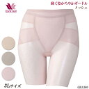 ワコール Wacoal メッシュグループ (3Lサイズ)動く姿かろやかガードル (ロング丈)綿混柄ラッセル メール便1点まで ギフト GHK360の後継品 GRA360 【EV】【P】