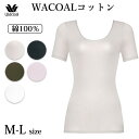 ワコール Wacoal ニットトップ 綿100% WACOALコットン トップス(3分袖) M・Lサイズ オーガニックコットンを使用 日本製 メール便3点まで ギフト CLC229 【P】