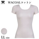ワコール Wacoal 【天綿】Tシャツインナー WACOALコットン 2分袖 LLサイズ フリーカッティング メール便3点まで ギフト CLC249 【EV】...