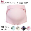 ワコール Wacoal マタニティ 産前 産褥 産後 兼用ショーツ マタニティショーツ (M-L,L-LLサイズ) メール便2点まで MPP498 【EV】【F...
