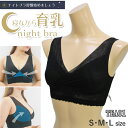 ナイトブラ 寝ながら育乳 night bra おやすみブラ ブラ BRA ナイトブラ おやすみタイム 脇寄せフロントクロス シークレットストッパー内臓 TEA01 【N】