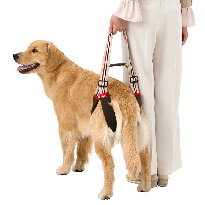 《レビューで300円クーポン進呈》学生服メーカーが開発！ トンボ ララウォークSTEP 大型犬用 中型犬用 後ろ脚用 後ろ足用 歩行補助ハーネス LaLaWalkSTEP 介護 介護用品 介護用ハーネス シニア犬 老犬 Tombow 日本製 2TE0011-28 【B】【送料無料】 ranfan-10036760 肌着屋ランファン サンプル画像2