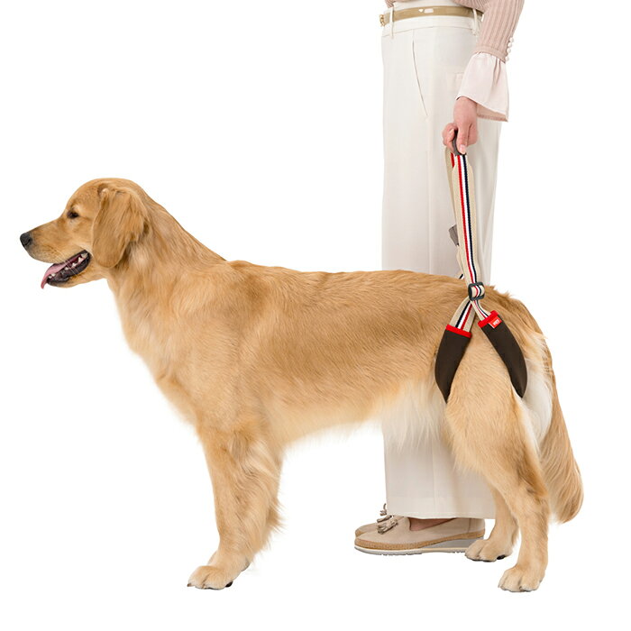 《レビューで300円クーポン進呈》学生服メーカーが開発！ トンボ ララウォークSTEP 大型犬用 中型犬用 後ろ脚用 後ろ足用 歩行補助ハーネス LaLaWalkSTEP 介護 介護用品 介護用ハーネス シニア犬 老犬 Tombow 日本製 2TE0011-28 【B】【送料無料】 ranfan-10036760 肌着屋ランファン サンプル画像3