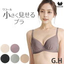 ワコール Wacoal 小さく見せるブラ (Gカップ Hカップ) 3/4カップブラ 大きいサイズ 小さく見えるブラ BRB422後継品 BRB452 【P】