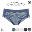ワコール Wacoal 小さく見せるブラ ペアショーツ (LLサイズ) 小さく見えるブラ メール便3点まで PRA129 【P】