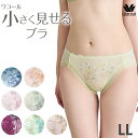 ワコール Wacoal 小さく見せるブラ ペアショーツ (LLサイズ) 小さく見えるブラ メール便3点まで PRA153 【P】