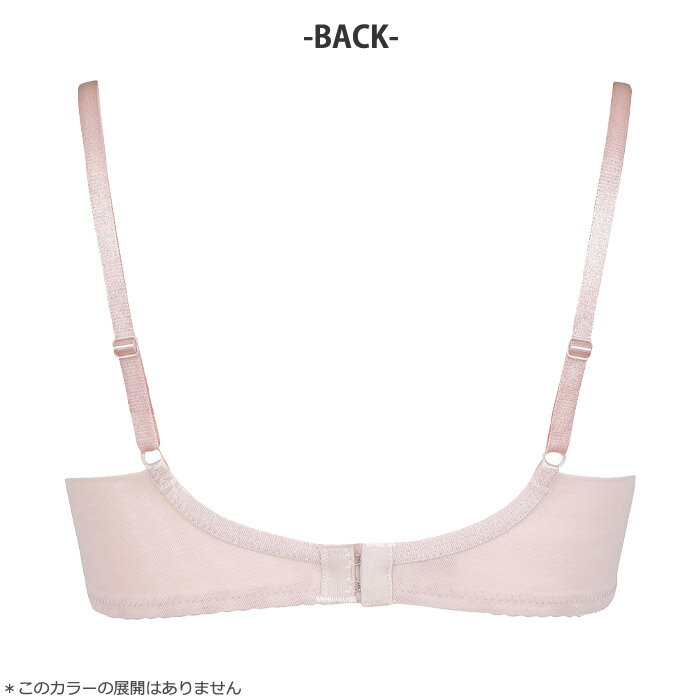 《22周年記念ポイント3倍》ワコール Wacoal ナチュラルメイクブラ 3/4カップブラジャー (Gカップ) BFA495後継品 BXC407 【EV】【P】