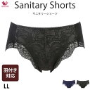 サニタリーショーツ ワコール Wacoal 消臭サニタリーショーツ LLサイズ 普通〜多い用 羽根つき付きナプキン対応 メール便3点まで PPD149 【EV】...