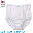 15%OFF ワコール Wacoal ジュニアショーツ (120サイズ 130サイズ 140サイズ) フェアリーティアラ メール便3点まで 入園準備 入学準備 CAX109 【F】