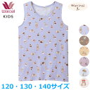 15%OFF ワコール Wacoalキッズ 男女児兼用 ノースリーブ (120サイズ 130サイズ 140サイズ) 男の子 女の子 Waninalグループメール便2点まで CKX180 【F】