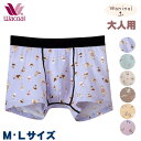 大人用ボトム ボクサーパンツ Waninalグループ (Mサイズ Lサイズ) ジャストウエスト 前閉じタイプ ワコール メール便4点まで CPR080 【F】