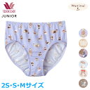 15%OFF ワコール Wacoal ジュニア ジュニアショーツ (2Sサイズ Sサイズ Mサイズ) 女の子 Waninalグループ 女子 メール便3点まで CZQ580 【F】