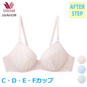 ワコール Wacoal ジュニアブラジャー (C・D・E・Fカップ)金属ワイヤーブラ 3/4カップブラ アフターステップ 高校生におススメ 前中心が痛くなりにく...