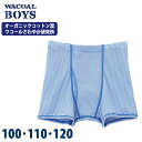 ワコール Wacoal キッズ BOYS (100・110・120サイズ) ボクサーパンツ オーガニックコットン 吸汗速乾 男の子 下着 メール便1点まで CPS563 【EV】【F】