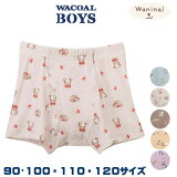 Wacoal 拾륭å BOYS(˻) [CPS580] (90 100 110 120)˻ܥȥ ܥѥ ˤλ Waninal롼 ᡼1ޤ{01} ؽF