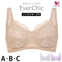 ワコール Wacoal BRA124 ノンワイヤーブラ Ever Chic エバーシック (Aカップ Bカップ Cカップ) 肌側綿混 エバーチック 1メ-2運 《送料無料》【P】