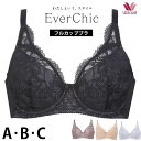 フルカップブラ ワコール Wacoal Ever Chic エバーシック Aカップ Bカップ Cカップ エバーチック メール便1点まで BRB284 【P】