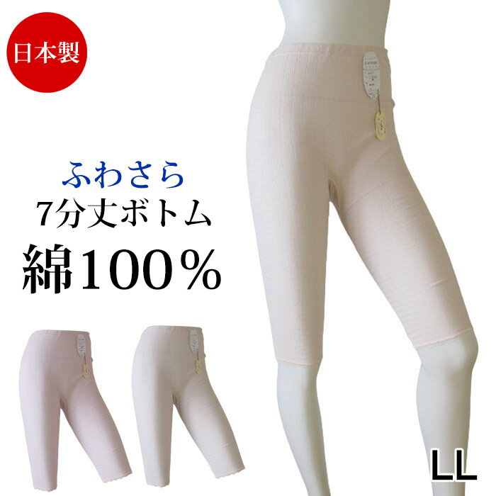 綿100％ 日本製 肌着 (LL)ボトムイン