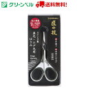【送料無料!】 ステンレス製鼻毛・ムダ毛用はさみ G-2113 はさみ 鼻毛 ムダ毛 サロン グリーンベル Green Bell 衛生 清潔 病院 介護 送料無...