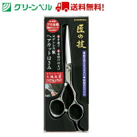 ステンレス製ヘアカットはさみ G-5020 はさみ ヘアカットハサミ セルフカット 散髪 前髪カット グリーンベル Green Bell 衛生 清潔 病院 介護 送料無料 追跡可能メール便