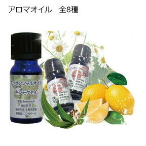 アロマオイル 水溶性（水に垂らすだけでアロマの香りが楽しめる）エッセンシャルオイル 10ml アロマオイル いい香り 癒し おうち時間 まったり ギフト リラックス 定型外郵便 送料無料