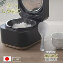 マーナ MARNA 立つしゃもじプレミアム クリア K555CL 剥離性の高いTPX使用 日本製 グッドデザイン 立つから衛生的 くっつきにくい おしゃれ デザイン プレゼント ギフト