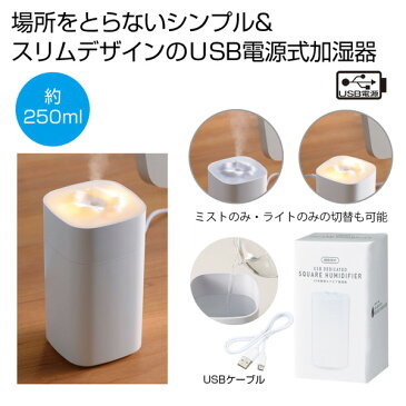 【最終処分】USB専用スクエア加湿器 2371741 加湿器 卓上 オフィス デスク 小型 モード切り替え かわいい おしゃれ シンプル ライト付き 静音 USBケーブル 替え芯 吸水芯 癒し 切り替え可能 記念品 粗品 プレゼント 大量 クリスマス お礼 景品 ギフト