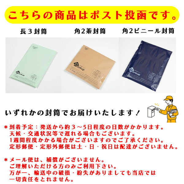 毛抜き ステンレスツーウェイ毛抜き GT-205 ツーウェイタイプ メール便送料無料