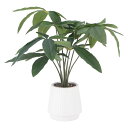 フェイクグリーン パキラ セラミックポット 41128 植物 自宅 リビング おしゃれ 観葉植物 人工観葉植物 送料無料