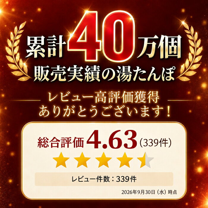 湯たんぽ 湯たんぽ 充電式 2026年改良版 2個セット【1個あたり2075円】 7つの安全設計 WJ-8190 WJ-8160 PSE認証済 充電 電気 ゆたんぽ カバー付き 蓄熱 省エネ あんか 足元 防寒 暖房 節電 省エネ エコ 30日保証 防寒グッズ 水交換不要4層生地 サーモスタット機能 送料込 (3)