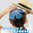 【冷感ではなく本当に冷やすから冷え方抜群・最安挑戦中・送料無料】 冷却専用クールパッド ブルー PN-01 帽子用保冷剤 自転車用ヘルメット 保冷 アウトドア ヘルメット 自転車 ひんやり 帽子 保冷剤 クール 頭 冷却 熱中症 ヘッド クール パッド アイス クーラー 保冷剤