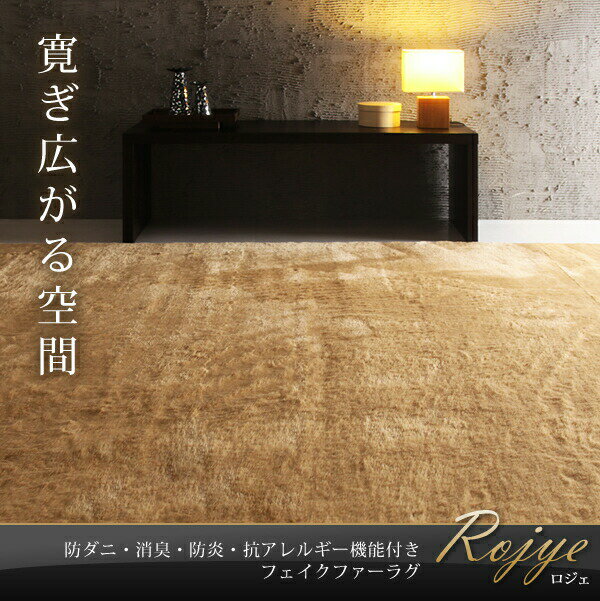 ラグ 防ダニ・消臭・防炎・抗アレルギー機能付きフェイクファーラグ 直径100cm(サークル) [2]