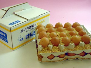 普段使い卵40個入