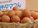 内容： 特撰吟味夕映卵 20個「卵の庄の卵を食べずに卵を語るなかれ。」 by 店長畠中卵の庄のお菓子が美味しいのは、この卵で作っているから。そして、獣医師でもある店長夫婦が毎日母鶏の健康に目を光らしているから、安全で安心！ただし、一度食べると他の卵は食べられなくなる危険性はご了解くださいね。(^^) 【賞味期限】生での賞味期限は採卵後2週間です。採卵したその日に発送致しますので、お届け後約10日以上は生でお召し上がりいただけます。それ以後は加熱調理してください。到着後は冷蔵庫で保管ください。尚、クール便をご希望の場合はクール料金を別途お客様ご負担で承っておりますのでお申し付けください。 【原産地】福岡県 【選別包装者】有限会社 畠中育雛場　福岡県飯塚市佐与1709-2 【賞味期限】採卵日より生食14日間 【保存方法】到着後は冷蔵保存（10℃以下） 【使用方法】生食期限後は充分加熱調理してください。卵の庄特撰吟味夕映卵を20個箱でお得にお送りします。特撰吟味夕映卵の表示は無く、箱は「げんきタマゴん」の箱となります。 ★お客様の声-伝言板より- 「昨日、無事に届きました。早速、半熟目玉焼きにしてカレーにのせて頂きました． 黄身の色と新鮮さに驚き、あまりの甘さにかれーの辛さ感じられない程でした。 この新鮮さでこの値段は安いです。また、なくなったらぜーったい購入します。」 とってもおいしかったです。 いつものたまごが食べれなくなってしまいそうなくらいですね。 毎日食べれたらいいのに、おいしいたまご。 こんなにも違うとは思いませんでした。 今まで、採りたてのたまごを貰って食べたことがあったのですが、 それとは違ったことがありビックリしました。 なんというコシの強さには出会ったことがありませんでした。 そしてとてもおいしかったことは言うまでもありませんが・・・