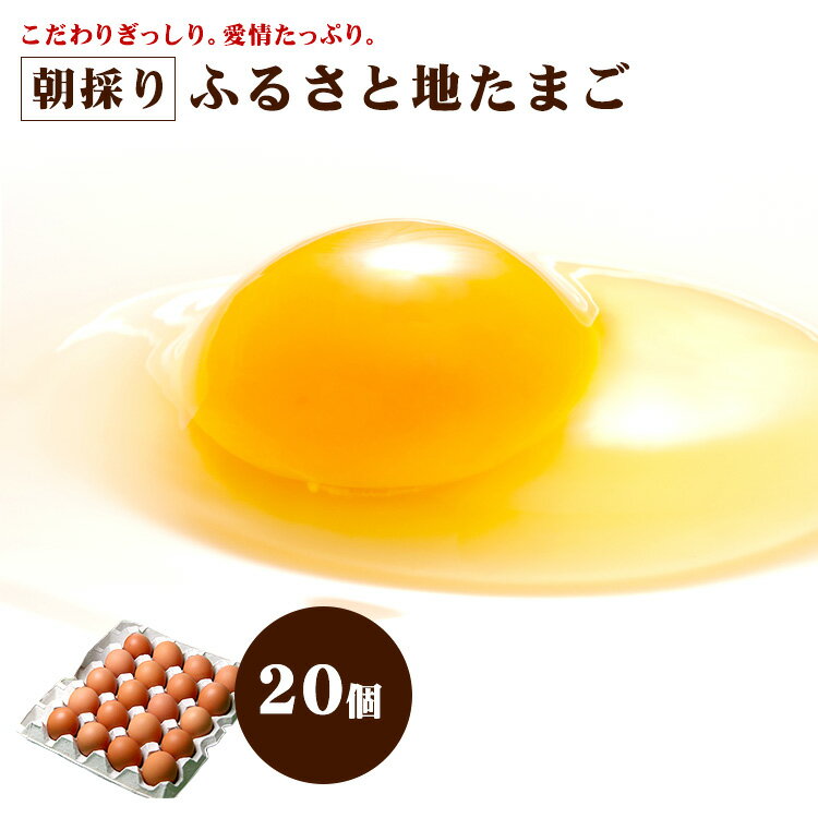 【通年クール便】ふるさと 地たまご 20個 （破損補償5個含む）【九州 熊本県産 新鮮 生卵 卵】