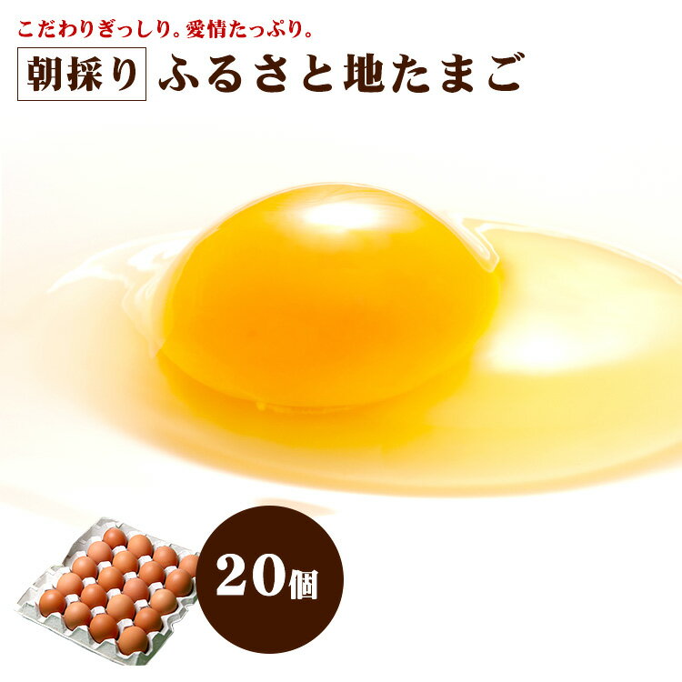 【通年クール便】 ふるさと 地 たまご 20個 （破損補償5個含む）【九州 熊本県産 新鮮 安全 農場直送 卵 生卵 】