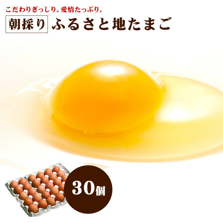 【通年クール便】ふるさと 地たまご 30個（破損補償5個含む） 【九州 熊本県産 新鮮 卵 生卵】