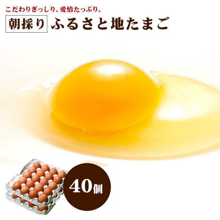 【通年クール便】ふるさと 地たまご 40個 （破損補償10個含む）【九州 熊本県産 新鮮 卵 生卵】九州熊本産　たまご　卵　玉子 卵焼き　たまごかけごはん