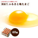 ふるさと地たまご ヒナから大切に育て上げた健康な赤鶏が産んだとびきりスペシャルなたまごです。本物の味がわかるアナタにおすすめ！ご贈答用としても大変喜ばれています。 内容 40個入(M・L混合モウルドトレイ入り) 保存方法 卵の鮮度は保存温度によって大きく左右されますので、到着後は10度以下での保存をお願いいたします。 賞味期限 卵の鮮度は温度に大変影響されますので、冷蔵庫（10度以下）で保存の上、新鮮で美味しいうちにぜひお召し上がり下さい。 産地 熊本県 選別包装者 株式会社サン・ファーム 熊本県熊本市南区城南町今吉野1000-1 注意事項 たまごを割ったらすぐに調理しましょう。生で食べられる期間は約2週間（要冷蔵）です。その後は充分に火を通して召しがって下さい。 発送 誠に申し訳ございませんが、東北へのお届けは1梱包につき別途420円、北海道へのお届けは1梱包につき別途630円頂戴させていただきます。 九州地方へのお届けは発送翌日の午前中から、関西・中部地方から西にお住まいの方は発送翌日14時〜16時以降より2時間刻みで時間指定可能。関東・北陸・信越地方から北にお住まいの方は発送翌々日午前中からお届けできます。 ひなたまこっこのギフトは様々なシーンでお使い頂けます。 ＜お祝い事、内祝い等の祝儀の品に＞ 内祝い・出産内祝い・結婚内祝い・快気内祝い・快気祝い・引出物・引き出物・結婚式・新築内祝い・お返し・入園内祝い・入学内祝い・進学内祝い・就職内祝い・成人内祝い・退職内祝い・お祝い・御祝い・出産祝い・結婚祝い・新築祝い・入園祝い・入学祝い・就職祝い・成人祝い・退職祝い・退職記念・七五三・プチギフト ＜イベントや季節の贈り物に＞ 母の日・父の日・敬老の日・敬老祝い・お誕生日お祝い・バースデイ・クリスマスプレゼント・バレンタインデー・ホワイトデー・結婚記念日・お中元・お歳暮・お年賀・記念品・賞品・景品・二次会・ゴルフコンペ・ノベルティ ＜手土産や心づかいに＞ ギフト・贈り物・粗品・プレゼント・お見舞い・お返し・新物・贈り物・ご挨拶・引越ご挨拶・贈答品 ＜仏事、法事等に＞ お供・お供え・お盆・初盆・お彼岸・法事・仏事・法要・満中陰志・香典返し・志・年忌・法事引き出物・仏事法要・一周忌・三回忌・七回忌・お悔やみ・命日・御仏前ご来店誠にありがとうございます！（＾＾）！ 皆様のご愛顧に心より感謝申し上げます。 大変申し訳ございませんが原油等の値上がりによりまして宅配便の料金が 価格改訂になっておりますので、どうぞご理解くださいますようお願い申し上げます。 毎日食べるものだから、 安心という当たり前のことにこだわりました。 &nbsp; 毎日たべるものだから、私たちは本当に安心してからだに良いたまごを食べてほしいと考えています。 そのためには、お母さん鶏を健康に育てることが大切だったのです。 病気にかからないように、ストレスがたまらないように。 でも決して薬や添加物に頼ることなく、元気いっぱいのお母さん鶏が、 健康で美味しいたまごを産めるように。 ヒナから成鶏になるまで手間を惜しまず、愛情をたっぷり注いでお世話をしています。 産みたての新鮮な産地直送のたまご。こころを込めてお届けします。 &nbsp; &nbsp;