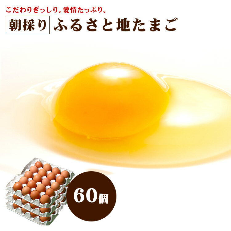 【通年クール便】 ふるさと 地たまご 60個 （破損補償10個含む）【九州 熊本県産 新鮮 卵 生卵】