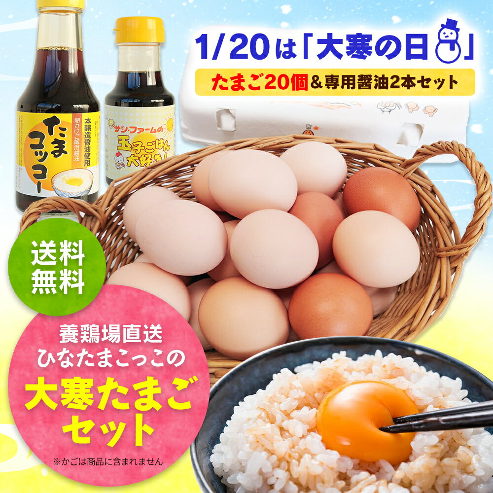 【たまご 卵 玉子 】 大寒たまご20個＆卵かけごはん専用醤油2本セット【大寒たまご 大寒卵 大 寒卵 縁起物　ひなたまこっこ 美味しい 卵焼き たまごかけごはん 卵 九州 送料無料 九州産 熊本産 新鮮 金運 UP】