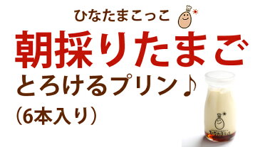 【家族にも嬉しい6個入り】 自家製とろけるプリン6本入 【かわいいロゴマーク入り容器付】【九州熊本産】【母の日】